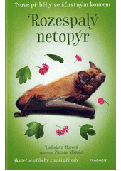 Rozespalý netopýr